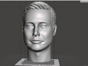 elon musk 3d printable portrait 3D Принт Модель