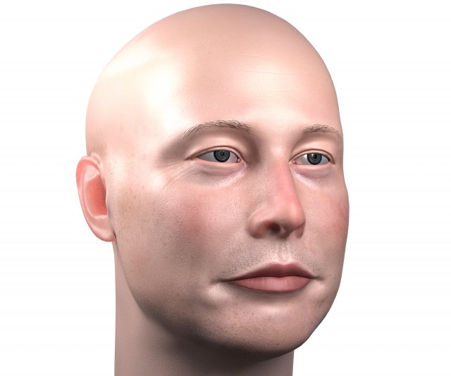 elon musk 3d portrait textured low poly pbr 3D Model .c4d .max .obj .3ds .fbx .stl .blend 