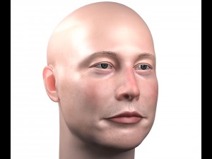 elon musk 3d portrait textured low poly pbr 3D Model