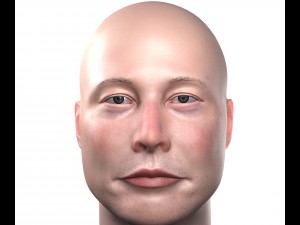 elon musk 3d portrait textured low poly pbr 3D Model
