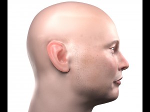 elon musk 3d portrait textured low poly pbr 3D Model