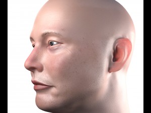 elon musk 3d portrait textured low poly pbr 3D Model