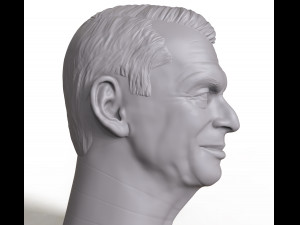vince mcmahon 3d printable portrait 3D 打印模型