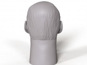 vince mcmahon 3d printable portrait 3D 打印模型