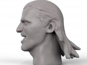 owen hart 3d printable portrait sculpture 3D Принт Модель