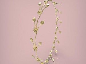 decoration for the head 3D printmodel