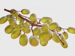realistic grapes 3D Model