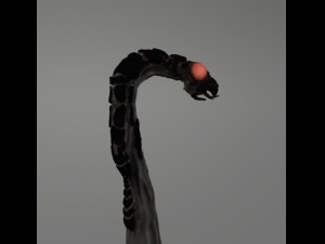 space worm 3D Model