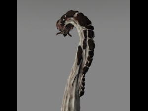 space worm 3D Model
