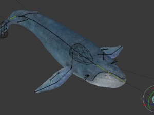 blue whale 3D-Modell