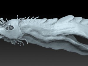 aquatic alien 3D 모델