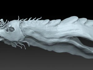 aquatic alien 3D Model