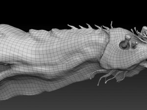 aquatic alien 3D 모델