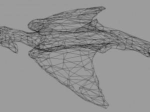 terafin 3D Model