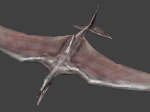 terafin 3D Model