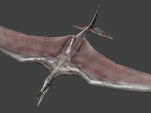 terafin 3D Model