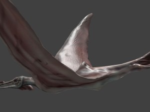 terafin 3D Model