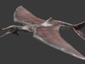 terafin 3D Model