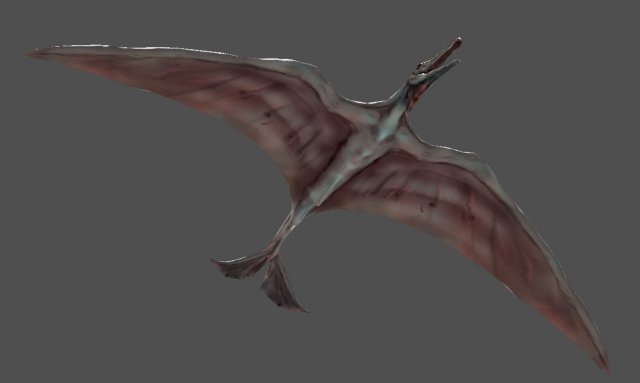 terafin 3D Model .c4d .max .obj .3ds .fbx .stl .blend 