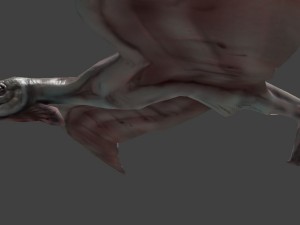 terafin 3D Model