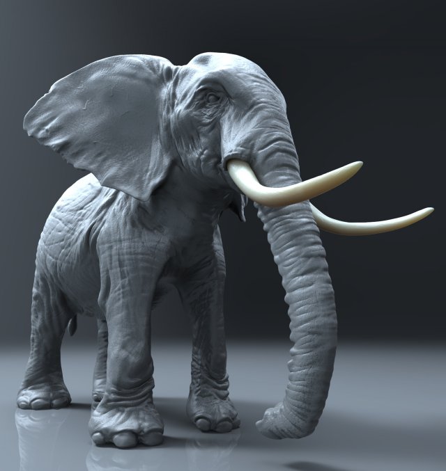 elephant high poly Model 3D .c4d .max .obj .3ds .fbx .stl .blend 