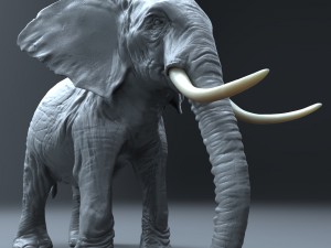 elephant high poly 3D Model