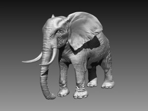 elephant high poly Model 3D
