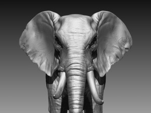 elephant high poly Model 3D