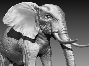 elephant high poly Model 3D