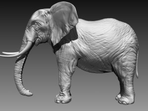 elephant high poly Model 3D