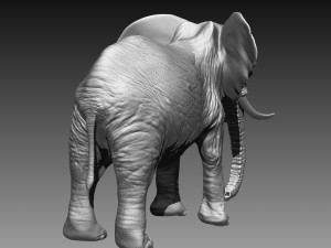 elephant high poly Model 3D