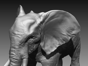 elephant high poly Model 3D