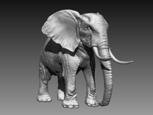 elephant high poly Model 3D