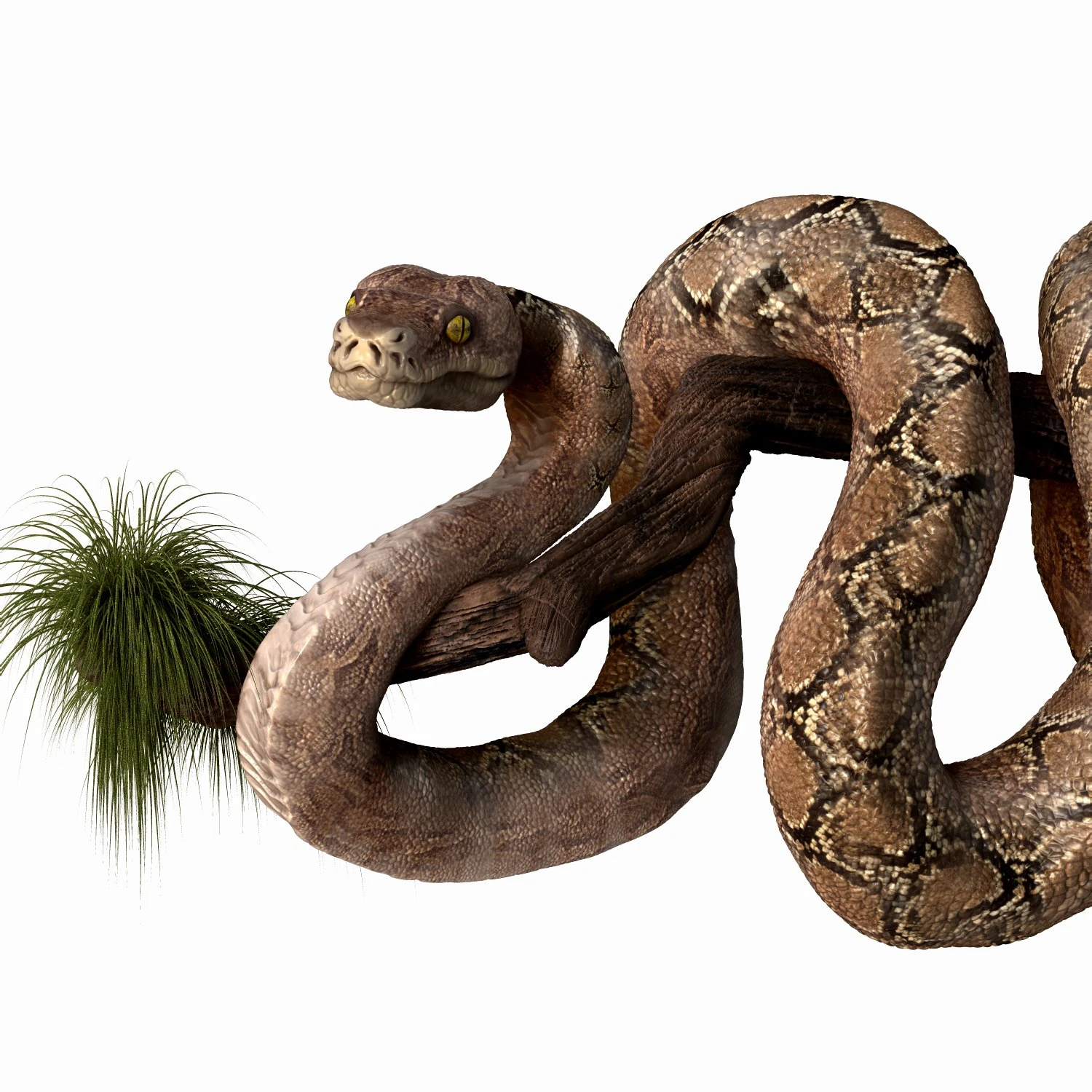 anakonda snake realistic high poly 3D Model .c4d .max .obj .3ds .fbx .stl .blend