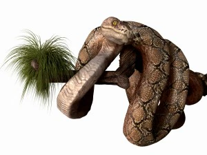 anakonda snake realistic high poly 3D Model