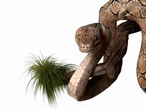 anakonda snake realistic high poly 3D Model