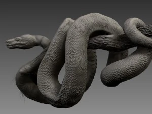 anakonda snake realistic high poly 3D Model