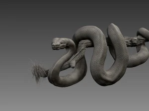 anakonda snake realistic high poly 3D Model