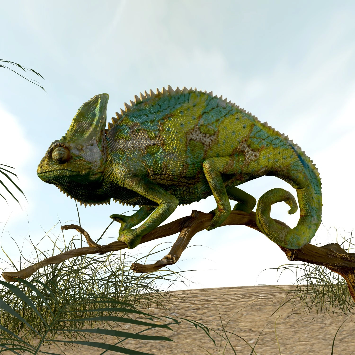 chameleon lizard realistic high poly 3D Model .c4d .max .obj .3ds .fbx .stl .blend 