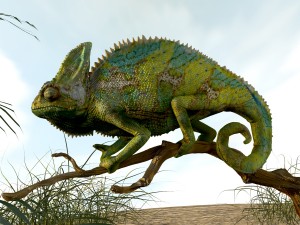 chameleon lizard realistic high poly 3D Model