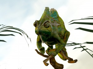 chameleon lizard realistic high poly Modello 3D