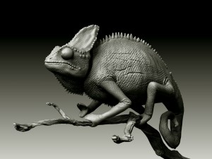 chameleon lizard realistic high poly Modello 3D