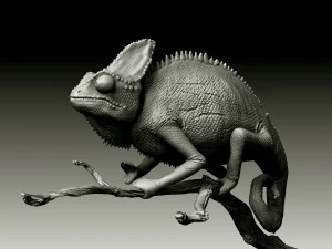 chameleon lizard realistic high poly 3D Model