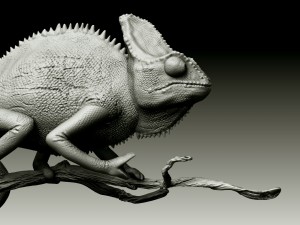 chameleon lizard realistic high poly Modello 3D