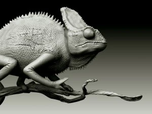 chameleon lizard realistic high poly 3D Model