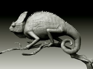 chameleon lizard realistic high poly Modello 3D