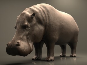 realistic hippopotamus high poly 3D Model