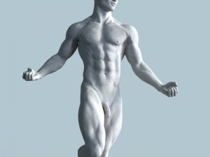 anatomical sculpture of a man Model 3D