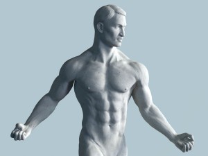 anatomical sculpture of a man Model 3D