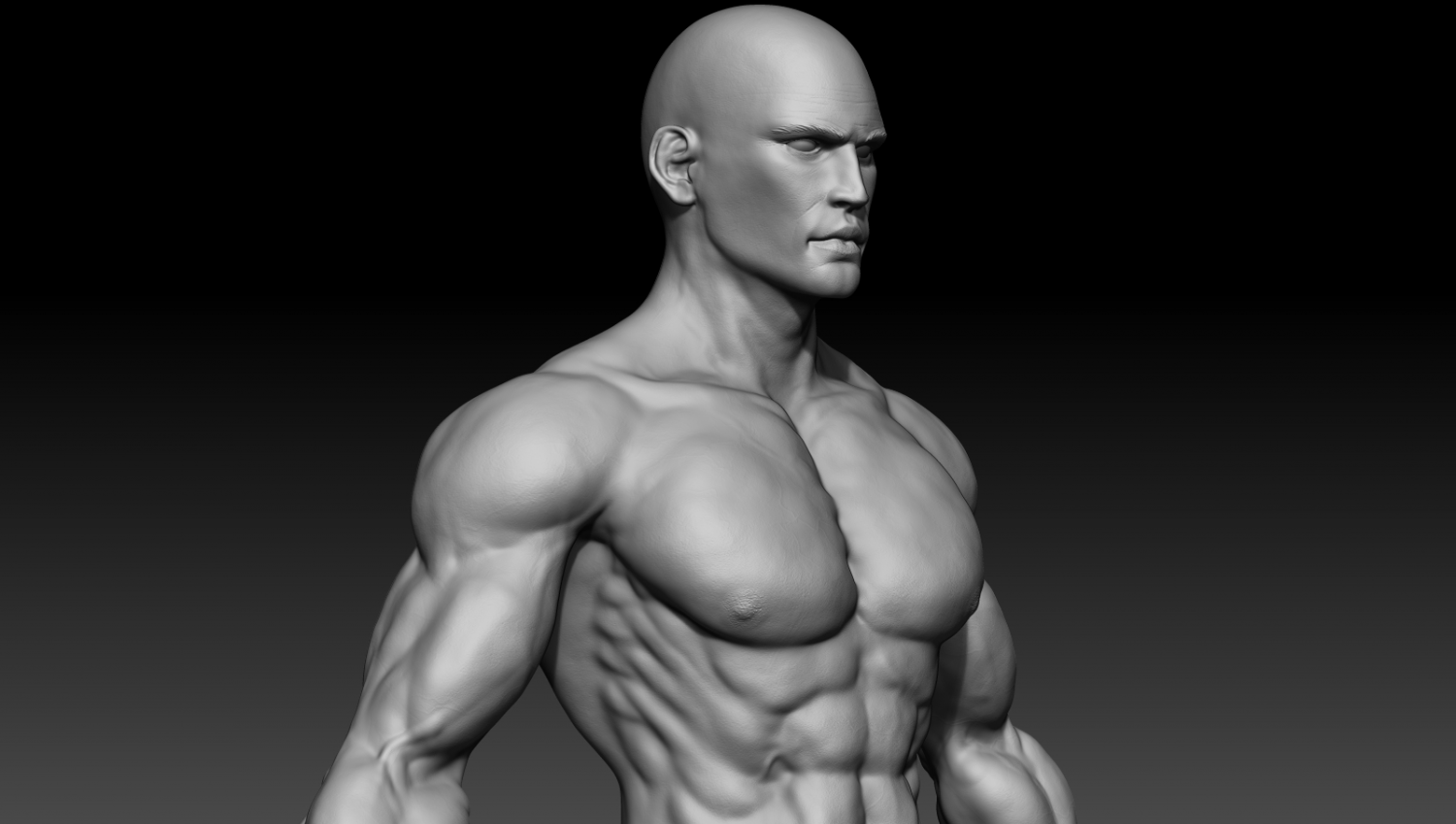3d muscular chest zbrush